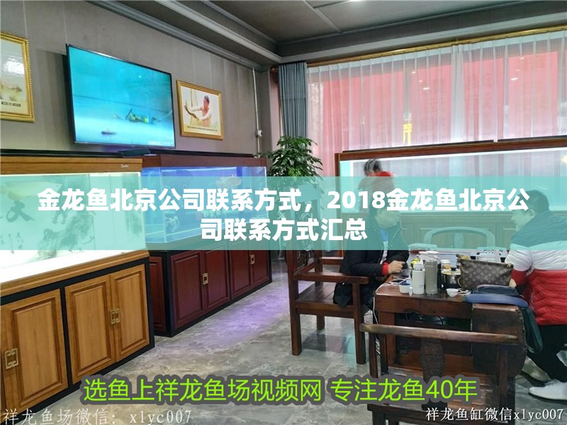 金龍魚北京公司聯系方式，2018金龍魚北京公司聯系方式匯總