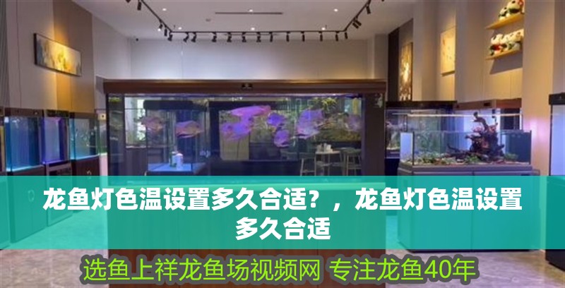 龍魚燈色溫設置多久合適？，龍魚燈色溫設置多久合適