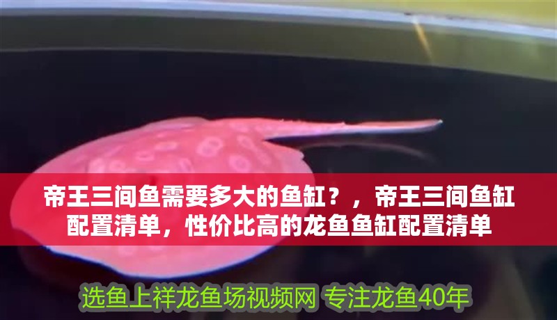 帝王三間魚需要多大的魚缸？，帝王三間魚缸配置清單，性價比高的龍魚魚缸配置清單