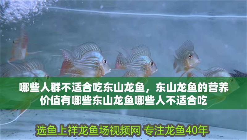 哪些人群不適合吃東山龍魚，東山龍魚的營養價值有哪些東山龍魚哪些人不適合吃