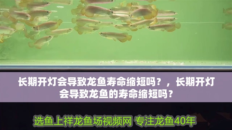 長期開燈會導致龍魚壽命縮短嗎？，長期開燈會導致龍魚的壽命縮短嗎？