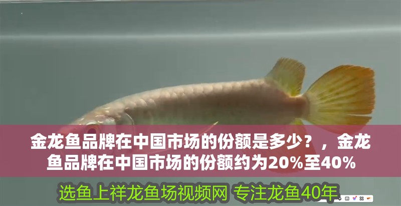 金龍魚品牌在中國市場的份額是多少？，金龍魚品牌在中國市場的份額約為20%至40%
