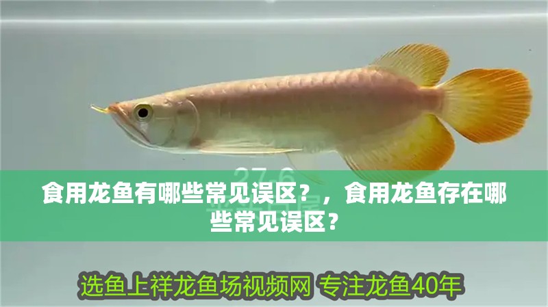 食用龍魚有哪些常見誤區(qū)？，食用龍魚存在哪些常見誤區(qū)？