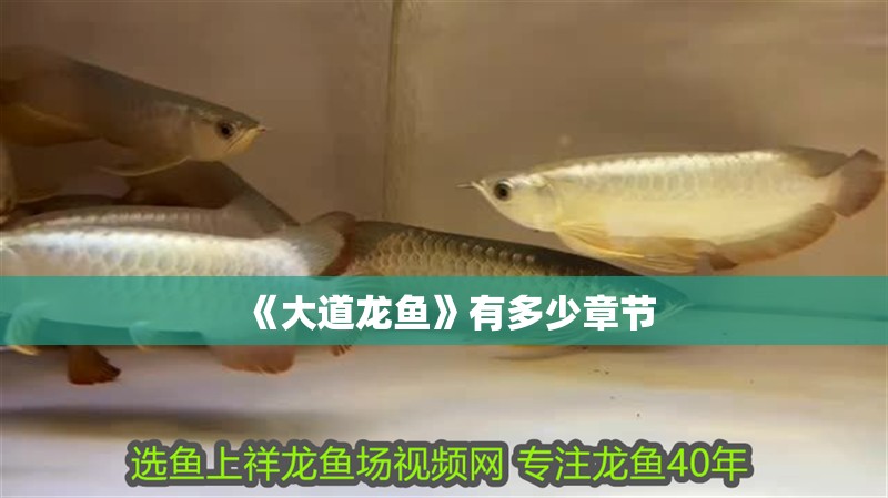 《大道龍魚》有多少章節