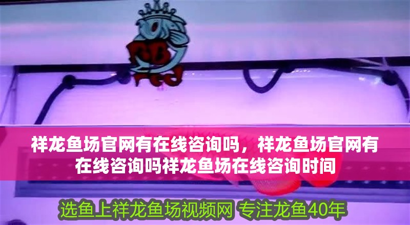 祥龍魚場官網有在線咨詢嗎，祥龍魚場官網有在線咨詢嗎祥龍魚場在線咨詢時間