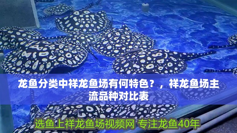 龍魚分類中祥龍魚場有何特色？，祥龍魚場主流品種對比表