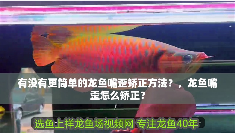 有沒有更簡單的龍魚嘴歪矯正方法？，龍魚嘴歪怎么矯正？