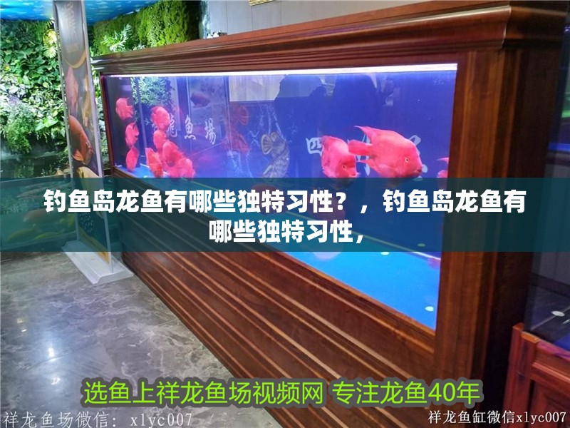 釣魚島龍魚有哪些獨特習性？，釣魚島龍魚有哪些獨特習性，