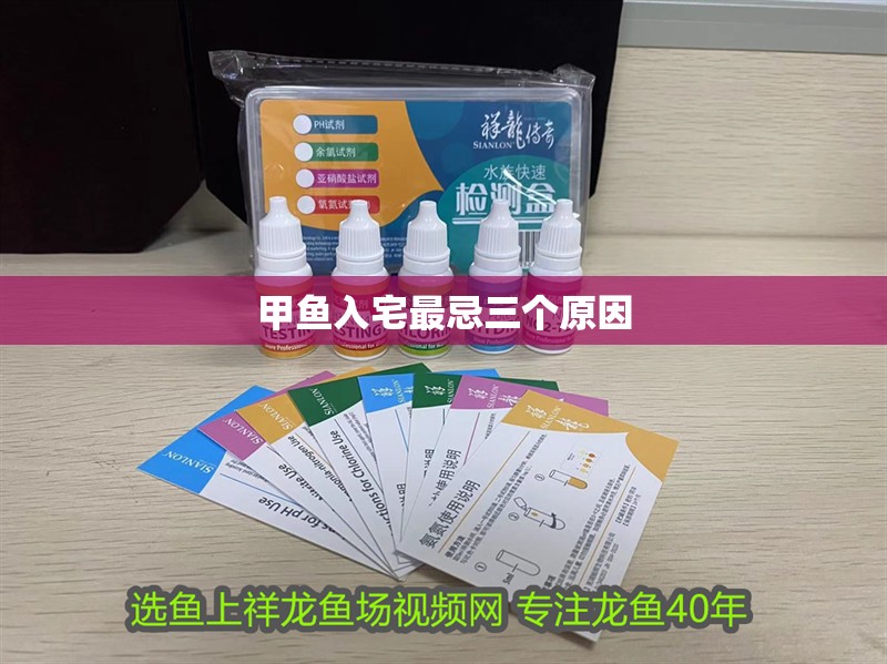 甲魚入宅最忌三個原因