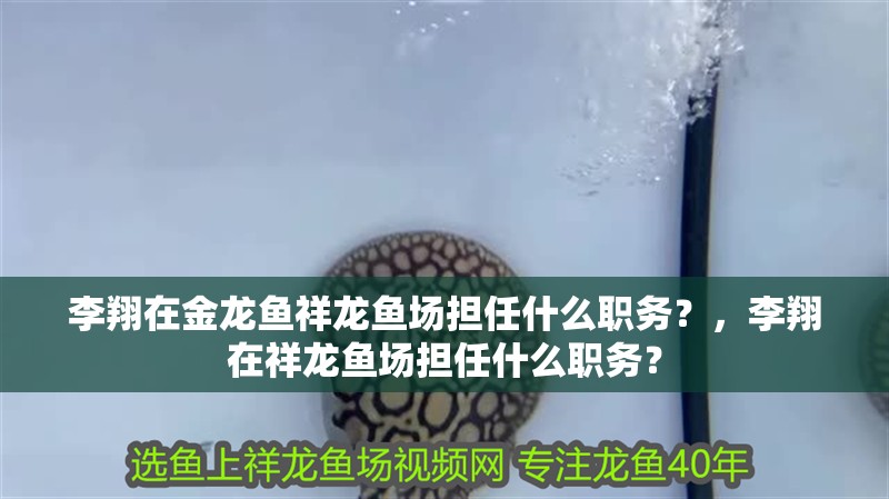 李翔在金龍魚祥龍魚場擔任什么職務？，李翔在祥龍魚場擔任什么職務？