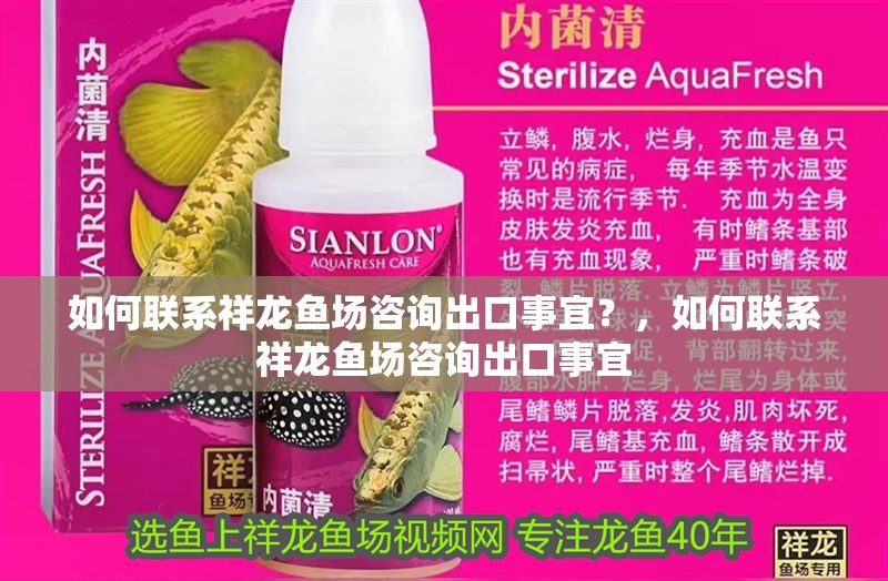如何聯(lián)系祥龍魚場咨詢出口事宜？，如何聯(lián)系祥龍魚場咨詢出口事宜