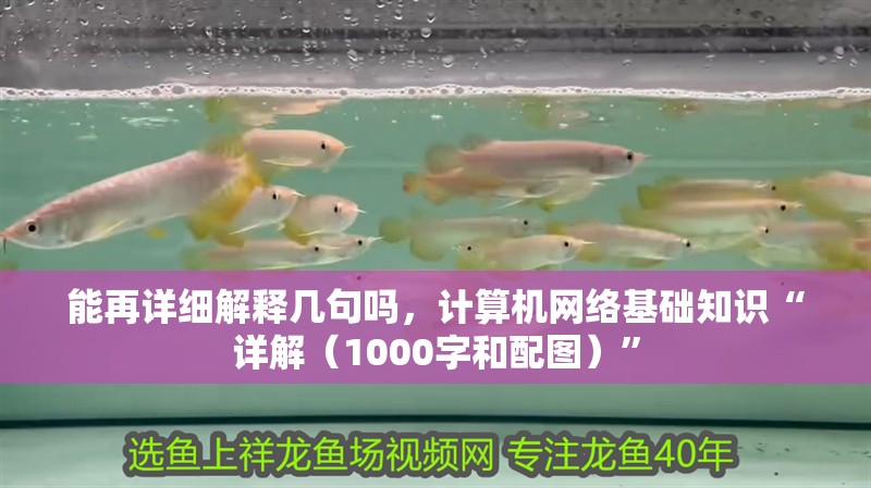 能再詳細解釋幾句嗎，計算機網(wǎng)絡(luò)基礎(chǔ)知識“詳解（1000字和配圖）”