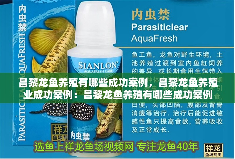 昌黎龍魚養(yǎng)殖有哪些成功案例，昌黎龍魚養(yǎng)殖業(yè)成功案例：昌黎龍魚養(yǎng)殖有哪些成功案例