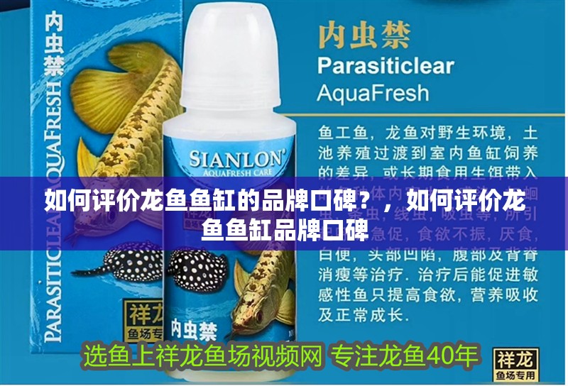 如何評價龍魚魚缸的品牌口碑？，如何評價龍魚魚缸品牌口碑