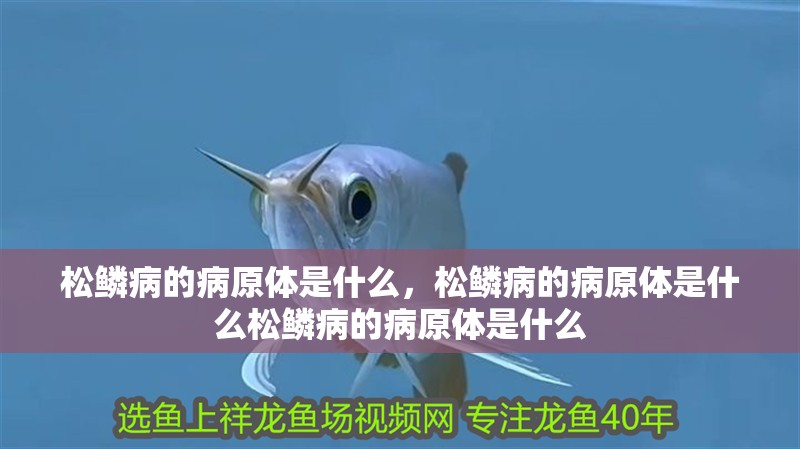 松鱗病的病原體是什么，松鱗病的病原體是什么松鱗病的病原體是什么