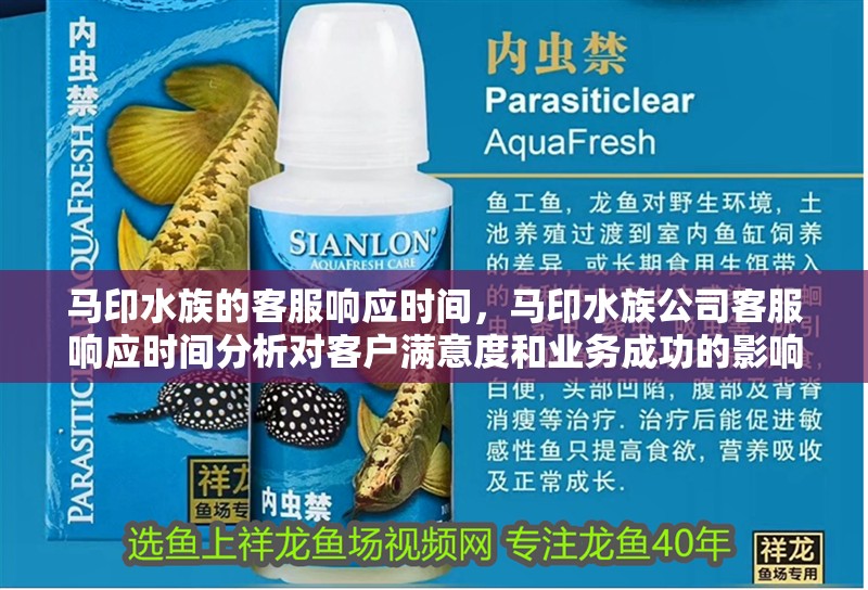 馬印水族的客服響應(yīng)時間，馬印水族公司客服響應(yīng)時間分析對客戶滿意度和業(yè)務(wù)成功的影響