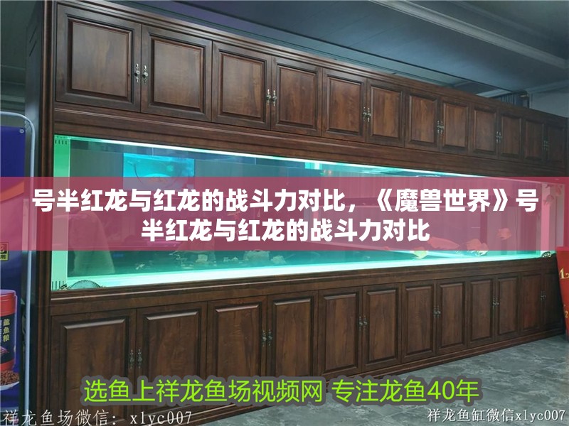 號半紅龍與紅龍的戰(zhàn)斗力對比，《魔獸世界》號半紅龍與紅龍的戰(zhàn)斗力對比