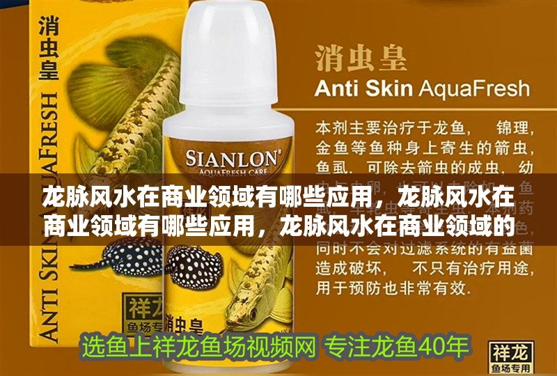 龍脈風水在商業領域有哪些應用，龍脈風水在商業領域有哪些應用，龍脈風水在商業領域的應用