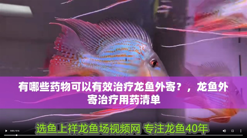 有哪些藥物可以有效治療龍魚外寄？，龍魚外寄治療用藥清單