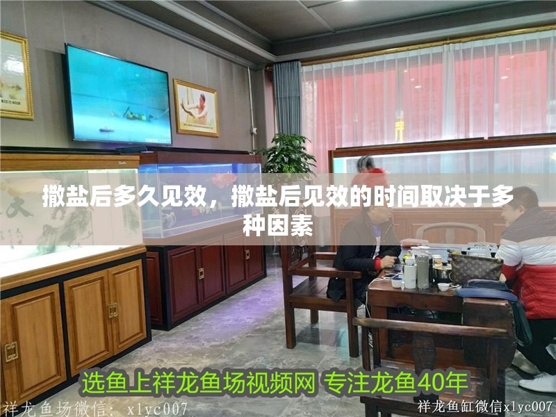 撒鹽后多久見效，撒鹽后見效的時間取決于多種因素