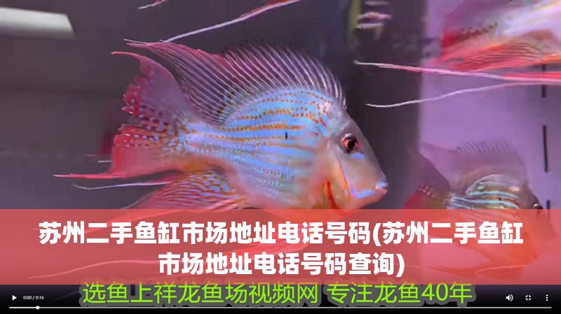 蘇州二手魚缸市場(chǎng)地址電話號(hào)碼(蘇州二手魚缸市場(chǎng)地址電話號(hào)碼查詢)