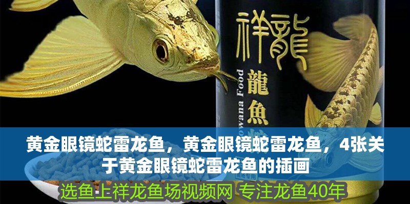 黃金眼鏡蛇雷龍魚，黃金眼鏡蛇雷龍魚，4張關于黃金眼鏡蛇雷龍魚的插畫