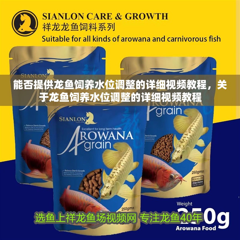 能否提供龍魚飼養水位調整的詳細視頻教程，關于龍魚飼養水位調整的詳細視頻教程