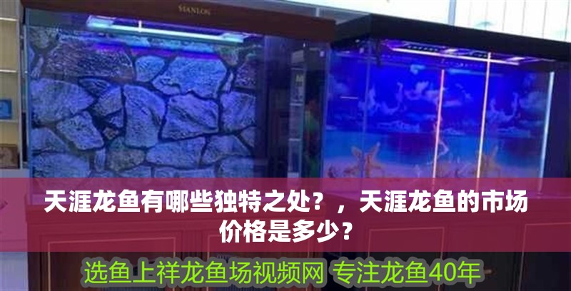 天涯龍魚有哪些獨特之處？，天涯龍魚的市場價格是多少？