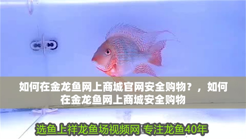 如何在金龍魚網上商城官網安全購物？，如何在金龍魚網上商城安全購物