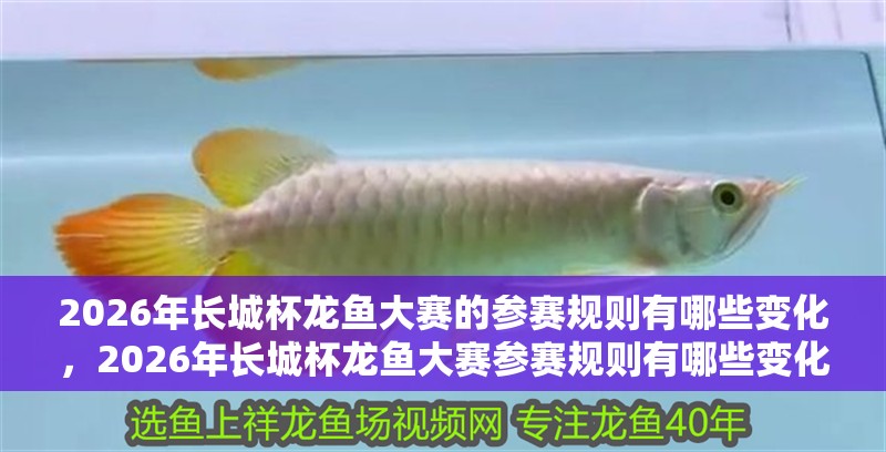 2026年長城杯龍魚大賽的參賽規則有哪些變化，2026年長城杯龍魚大賽參賽規則有哪些變化