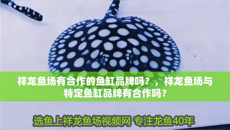 祥龍魚場有合作的魚缸品牌嗎？，祥龍魚場與特定魚缸品牌有合作嗎？