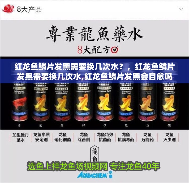 紅龍魚鱗片發(fā)黑需要換幾次水？，紅龍魚鱗片發(fā)黑需要換幾次水,紅龍魚鱗片發(fā)黑會(huì)自愈嗎