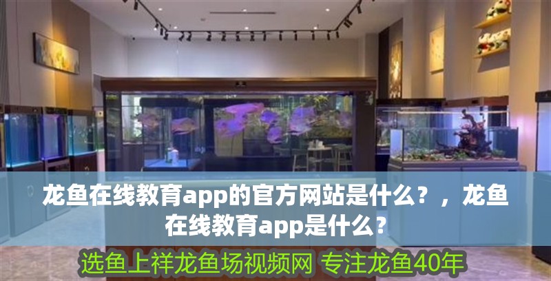 龍魚在線教育app的官方網站是什么？，龍魚在線教育app是什么？