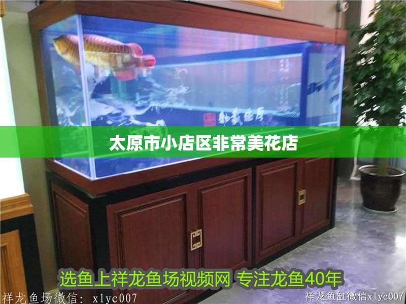 太原市小店區非常美花店 全國水族館企業名錄 第1張 太原市小店區非常美花店 太原市小店區非常美花店 全國水族館企業名錄 第1張