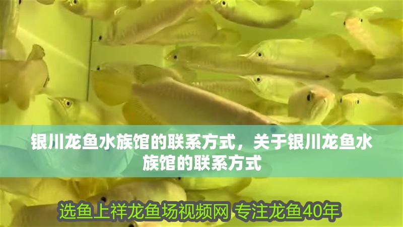 銀川龍魚水族館的聯系方式，關于銀川龍魚水族館的聯系方式