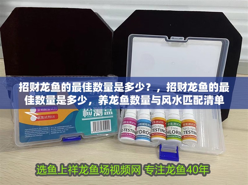 招財龍魚的最佳數量是多少？，招財龍魚的最佳數量是多少，養(yǎng)龍魚數量與風水匹配清單
