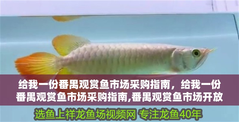 給我一份番禺觀賞魚市場采購指南，給我一份番禺觀賞魚市場采購指南,番禺觀賞魚市場開放時間