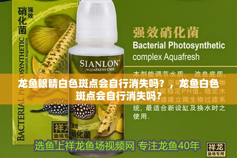 龍魚眼睛白色斑點會自行消失嗎？，龍魚白色斑點會自行消失嗎？