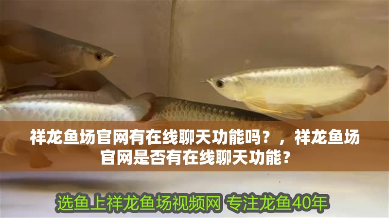 祥龍魚(yú)場(chǎng)官網(wǎng)有在線(xiàn)聊天功能嗎？，祥龍魚(yú)場(chǎng)官網(wǎng)是否有在線(xiàn)聊天功能？