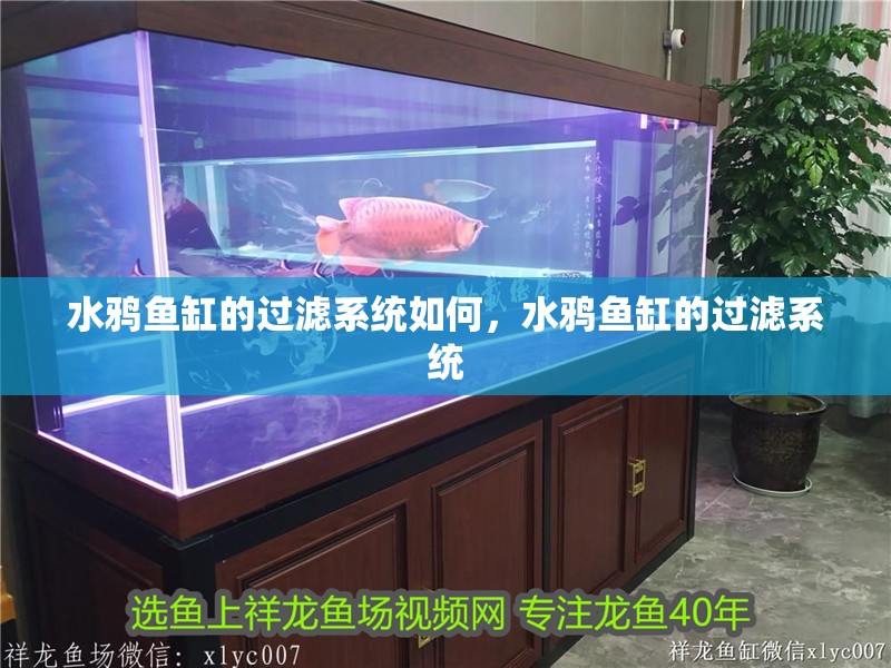 水鴉魚(yú)缸的過(guò)濾系統(tǒng)如何，水鴉魚(yú)缸的過(guò)濾系統(tǒng)