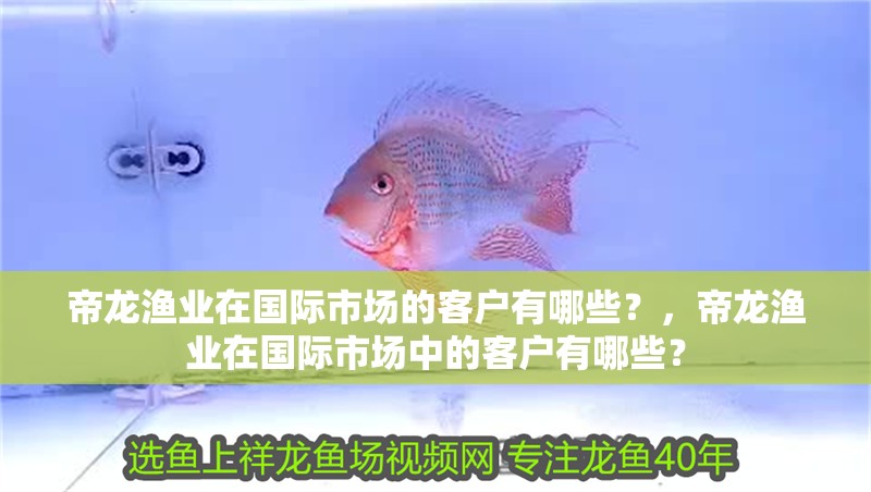 帝龍漁業在國際市場的客戶有哪些？，帝龍漁業在國際市場中的客戶有哪些？