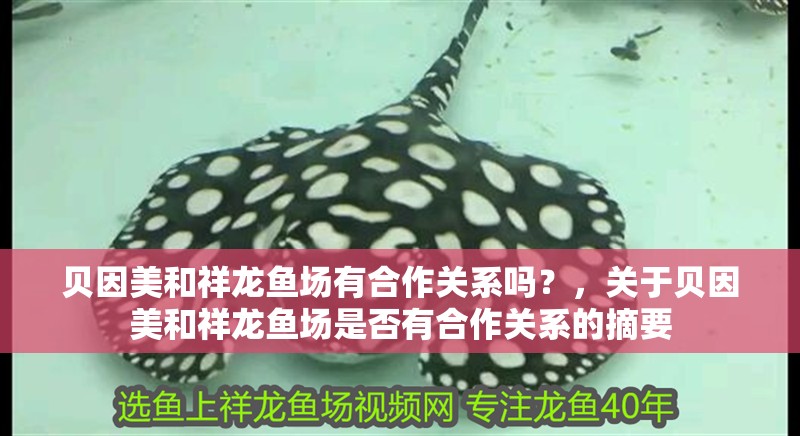 貝因美和祥龍魚場有合作關(guān)系嗎？，關(guān)于貝因美和祥龍魚場是否有合作關(guān)系的摘要