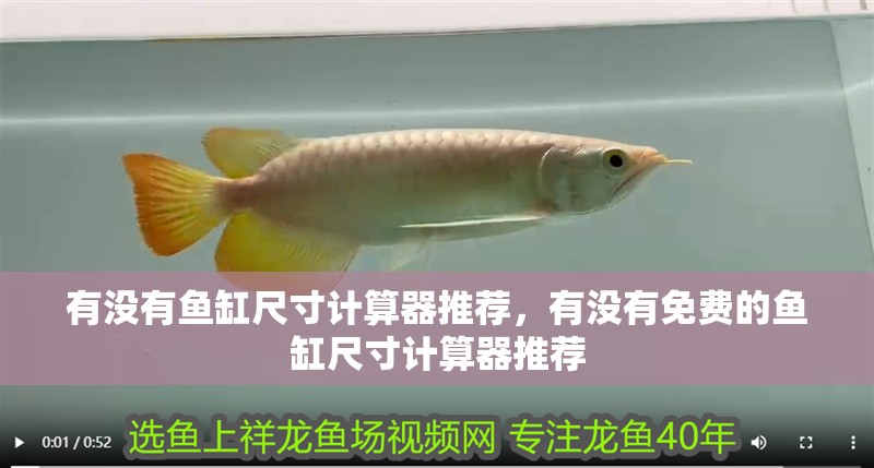 有沒有魚缸尺寸計(jì)算器推薦，有沒有免費(fèi)的魚缸尺寸計(jì)算器推薦