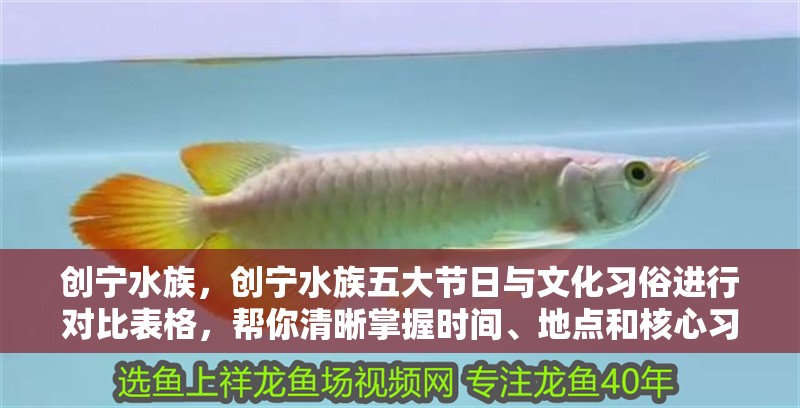 創寧水族，創寧水族五大節日與文化習俗進行對比表格，幫你清晰掌握時間、地點和核心習俗