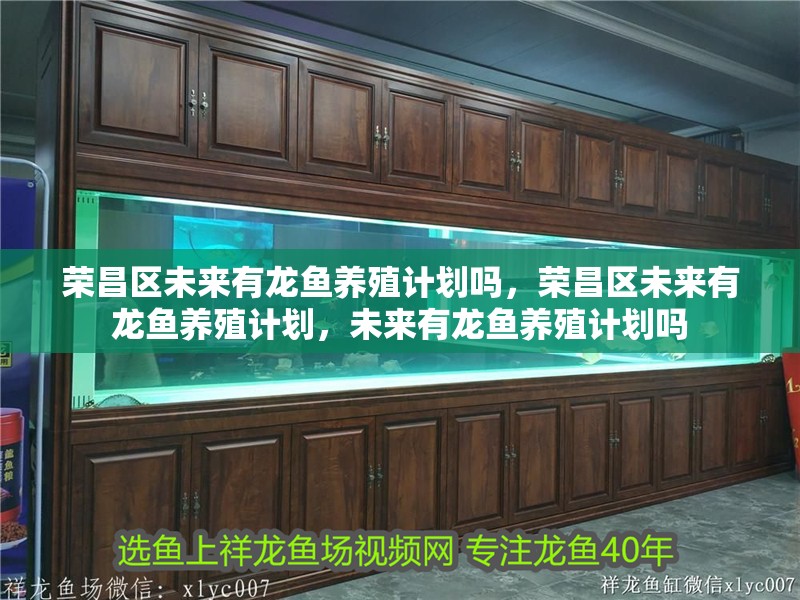 榮昌區(qū)未來有龍魚養(yǎng)殖計劃嗎，榮昌區(qū)未來有龍魚養(yǎng)殖計劃，未來有龍魚養(yǎng)殖計劃嗎