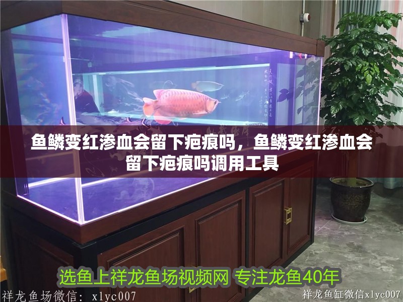 魚鱗變紅滲血會留下疤痕嗎，魚鱗變紅滲血會留下疤痕嗎調用工具