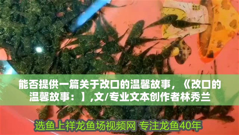能否提供一篇關于改口的溫馨故事，《改口的溫馨故事：】,文/專業文本創作者林秀蘭