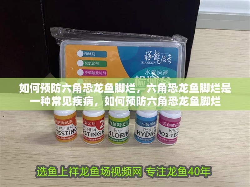 如何預防六角恐龍魚腳爛，六角恐龍魚腳爛是一種常見疾病，如何預防六角恐龍魚腳爛