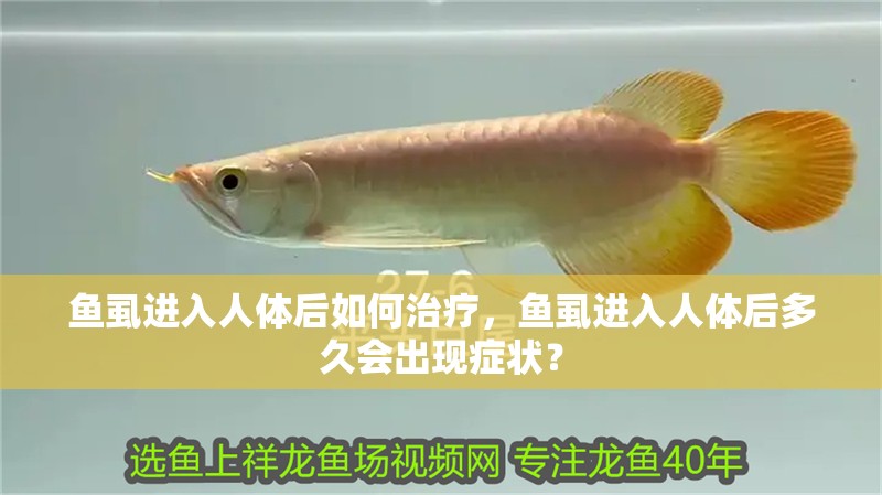 魚虱進(jìn)入人體后如何治療，魚虱進(jìn)入人體后多久會出現(xiàn)癥狀？