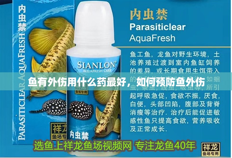魚有外傷用什么藥最好，如何預(yù)防魚外傷